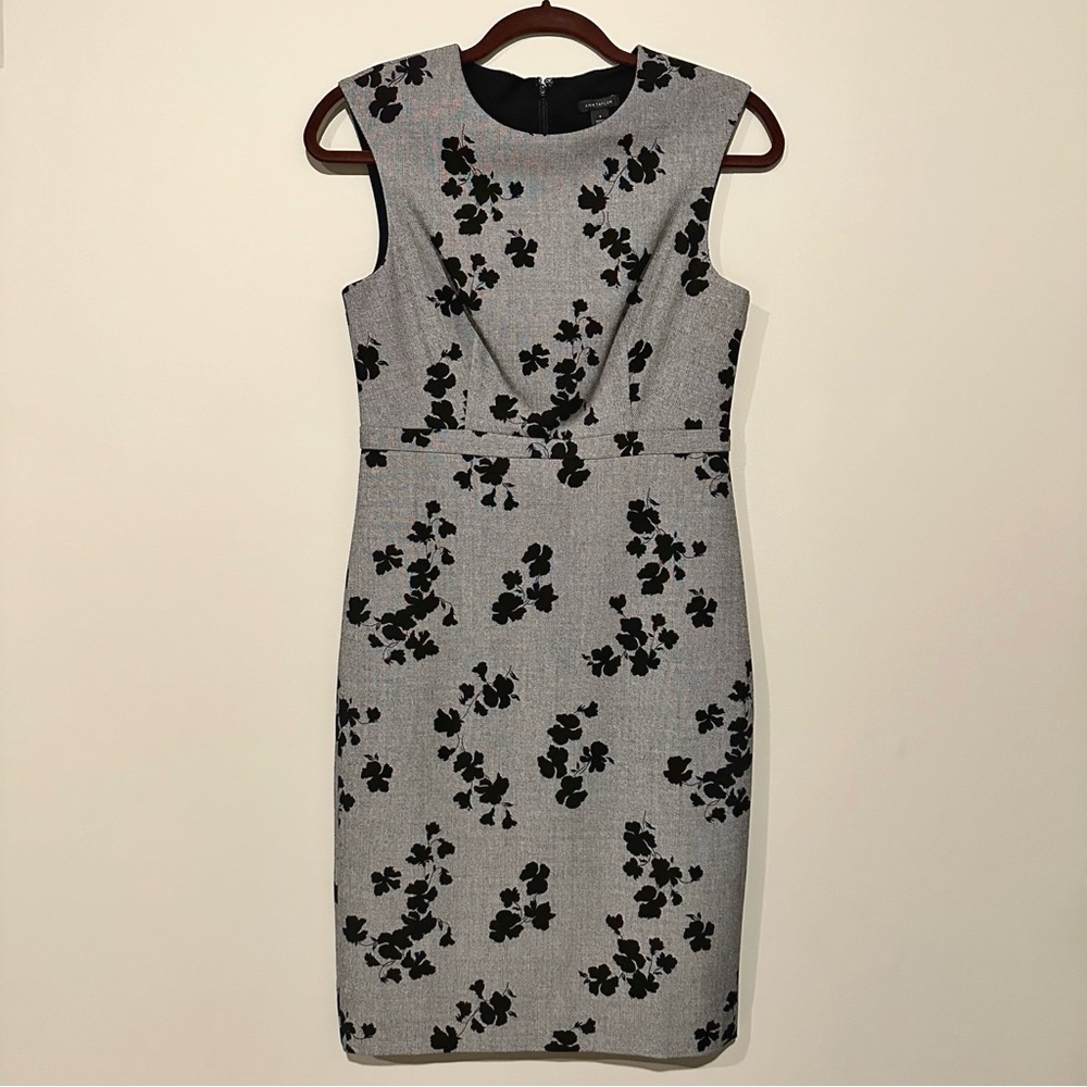 Ann Taylor Grey & Black Floral Shift Dress - Size 0